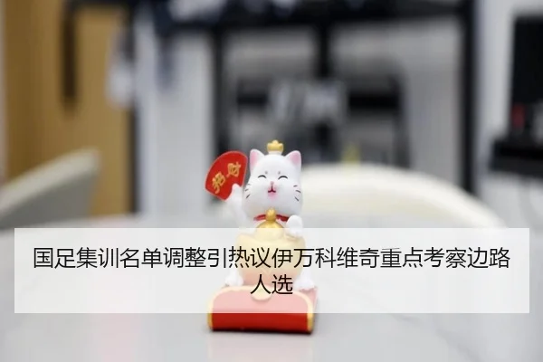 国足集训名单调整引热议伊万科维奇重点考察边路人选